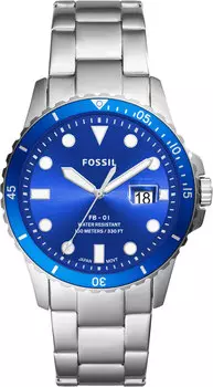 Мужские часы Fossil FS5669