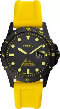 Мужские часы Fossil FS5684