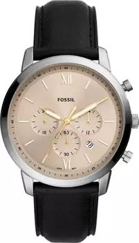 Мужские часы Fossil FS5885