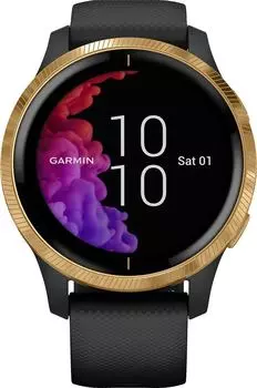 Мужские часы Garmin 010-02173-33