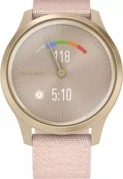 Мужские часы Garmin 010-02240-22