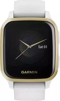 Мужские часы Garmin 010-02427-11