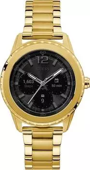 Мужские часы Guess C1002M3