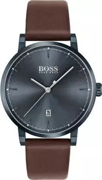 Мужские часы Hugo Boss HB1513791