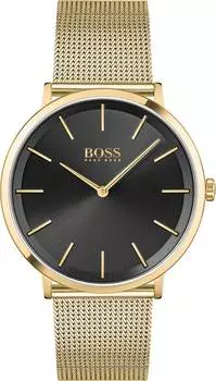 Мужские часы Hugo Boss HB1513909