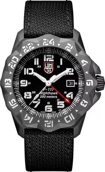 Мужские часы Luminox XA.6421