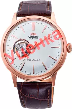 Мужские часы Orient RA-AG0001S1-ucenka