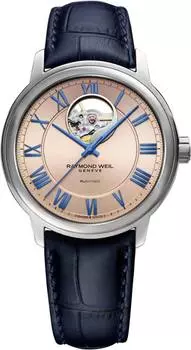 Мужские часы Raymond Weil 2227-STC-00808