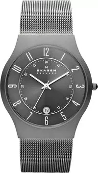 Мужские часы Skagen 233XLTTM