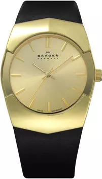 Мужские часы Skagen 580XLGLB-ucenka