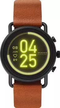 Мужские часы Skagen SKT5201