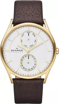 Мужские часы Skagen SKW6066