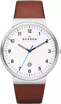 Мужские часы Skagen SKW6082