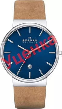 Мужские часы Skagen SKW6103-ucenka