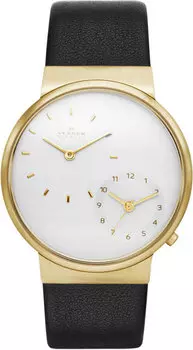 Мужские часы Skagen SKW6107