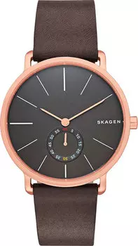 Мужские часы Skagen SKW6213