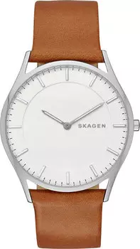Мужские часы Skagen SKW6219