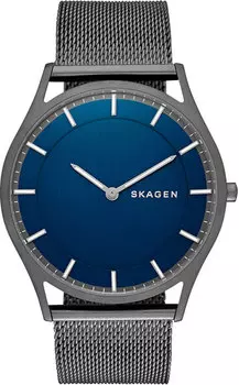 Мужские часы Skagen SKW6223