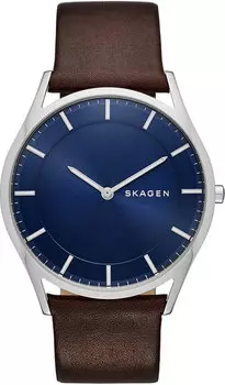 Мужские часы Skagen SKW6237