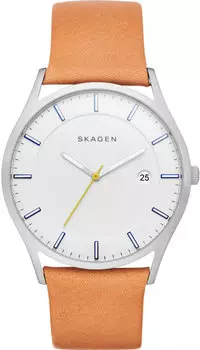 Мужские часы Skagen SKW6282