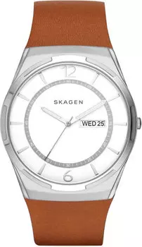 Мужские часы Skagen SKW6304