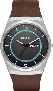 Мужские часы Skagen SKW6305