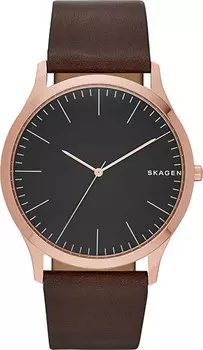 Мужские часы Skagen SKW6330