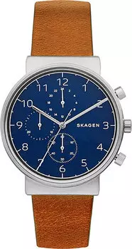 Мужские часы Skagen SKW6358