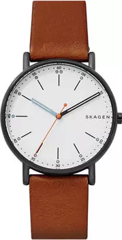 Мужские часы Skagen SKW6374