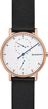 Мужские часы Skagen SKW6390