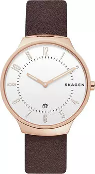 Мужские часы Skagen SKW6458