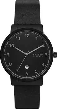 Мужские часы Skagen SKW6567