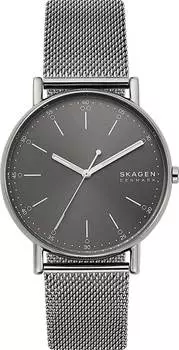 Мужские часы Skagen SKW6577