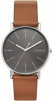 Мужские часы Skagen SKW6578