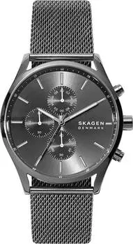 Мужские часы Skagen SKW6608