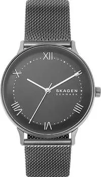 Мужские часы Skagen SKW6624