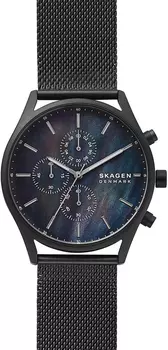 Мужские часы Skagen SKW6651