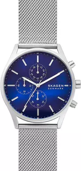 Мужские часы Skagen SKW6652