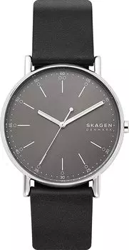 Мужские часы Skagen SKW6654