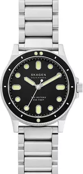 Мужские часы Skagen SKW6666