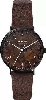 Мужские часы Skagen SKW6728