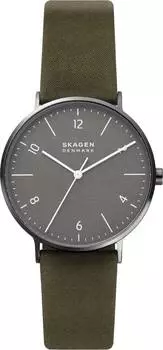 Мужские часы Skagen SKW6730