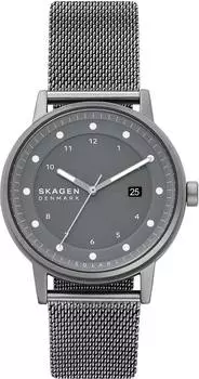 Мужские часы Skagen SKW6741