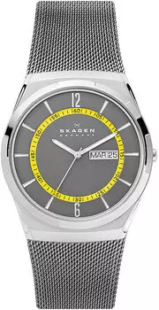 Мужские часы Skagen SKW6789
