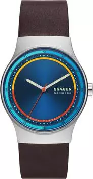 Мужские часы Skagen SKW6794