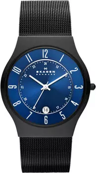 Мужские часы Skagen T233XLTMN