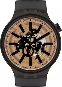 Мужские часы Swatch SO27B115