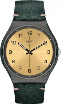 Мужские часы Swatch SS07M101