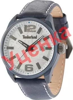 Мужские часы Timberland TBL.15029JLBL/01-ucenka