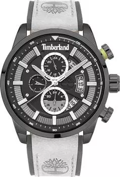 Мужские часы Timberland TDWGF2102601